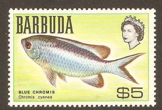 Barbuda 1968 $5 Fishes series. SG27.