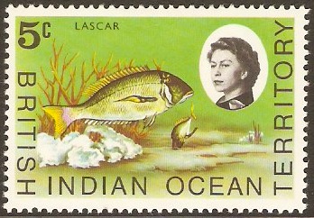 British Indian Ocean Territory 1968 5c Marine Life Series. SG16.
