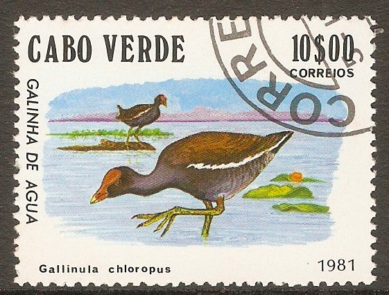 Cape Verde Islands 1981 10e Birds series. SG515.