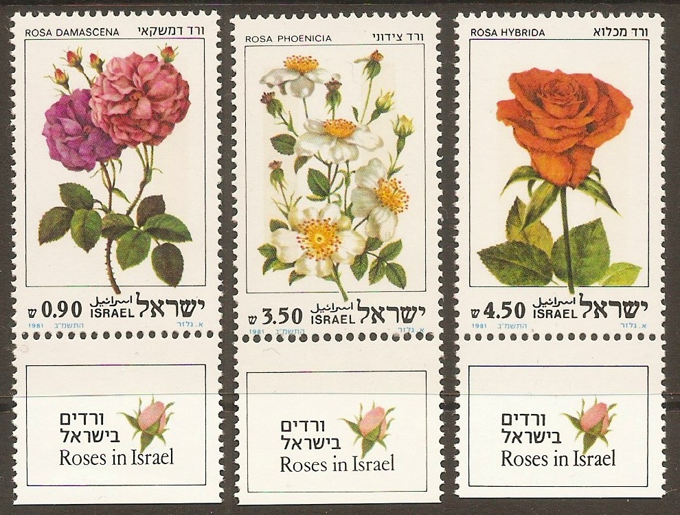 Israel 1981 Roses set. SG821-SG823.