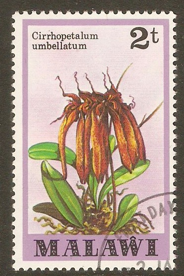 Malawi 1979 2t Orchids series. SG578.