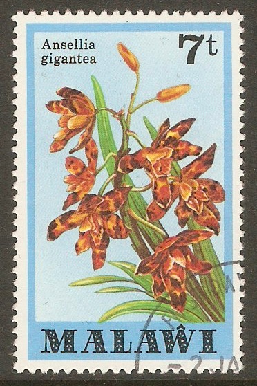 Malawi 1979 7t Orchids series. SG580.