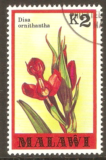 Malawi 1979 2k Orchids series. SG590.