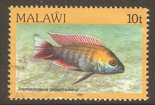Malawi 1984 10t Fishes series. SG693.