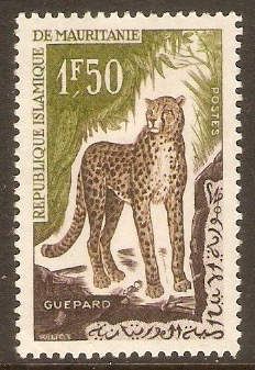 Mauritania 1963 1f.50 Animals series - Cheetah. SG167.