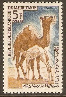 Mauritania 1963 5f Animals series - Dromedaries. SG169.