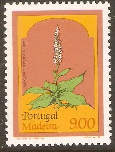 Madeira 1981 9E Regional Flowers series. SG184.