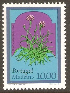 Madeira 1981 10E Regional Flowers series. SG185.