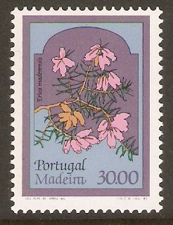 Madeira 1981 30E Regional Flowers series. SG189.