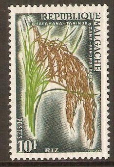 Malagassy 1960 10f Rice plant. SG15.