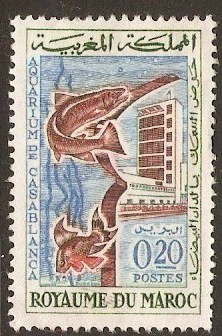 Morocco 1962 20f Casablanca Aquarium series. SG124.