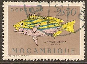 Mozambique 1951 2E.50 Fishes Series. SG450.