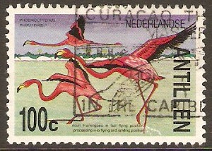 Netherlands Antilles 1985 100c Flamingoes series. SG876.