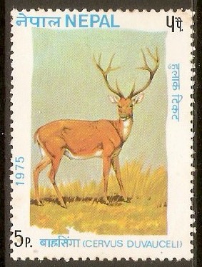 Nepal 1975 5p Swamp deer - Wildlife Conservation series. SG322.