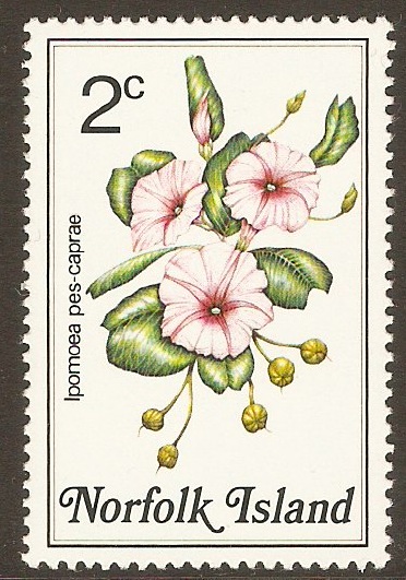 Norfolk Island 1984 2c Flowers series. SG319