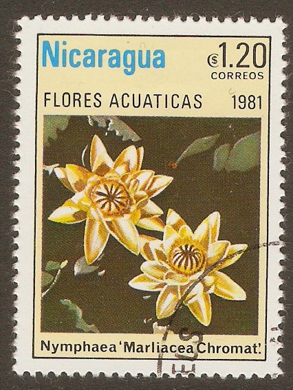 Nicaragua 1981 1cor.20 Water Lillies series. SG2290.