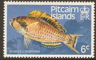 Pitcairn Islands 1984 6c Fishes Series. SG248. - Click Image to Close