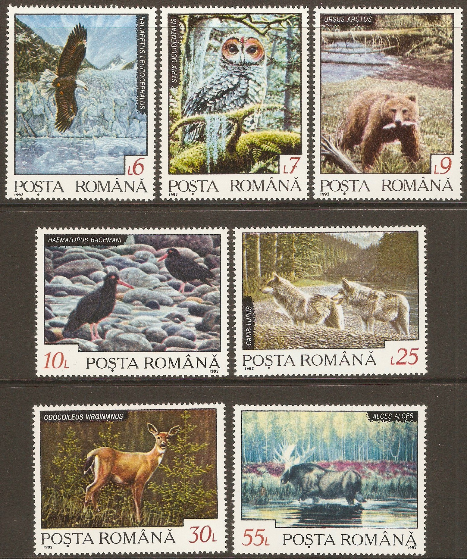 Romania 1992 Animals set. SG5478-SG5484.