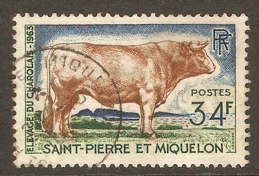St Pierre et Miquelon 1964 34f Charolais Bull. SG434.