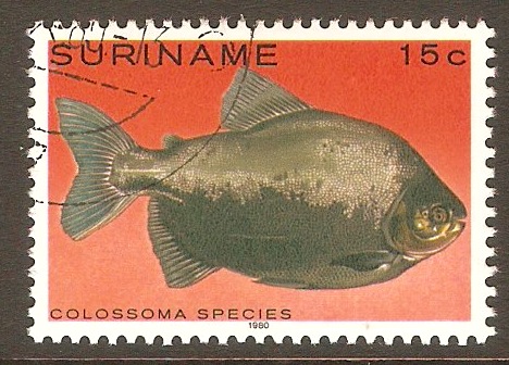 Surinam 1980 15c Tropical Fishes series. SG1006.