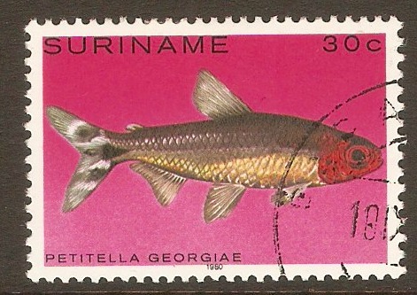 Surinam 1980 30c Tropical Fishes series. SG1008.