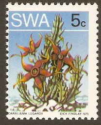 South West Africa 1973 5c Succulents Series. SG245b.