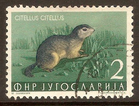 Yugoslavia 1953 2d Animals series. SG765.
