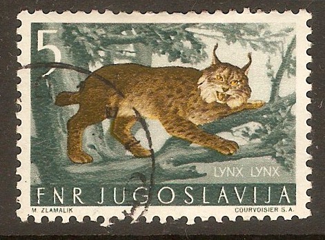 Yugoslavia 1953 5d Animals series. SG766.