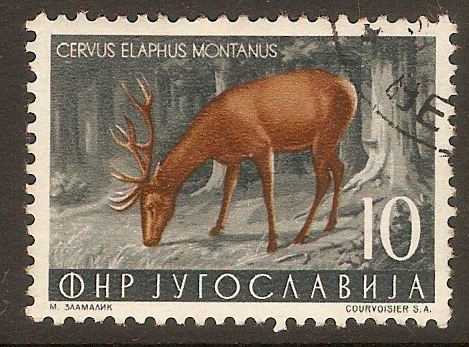 Yugoslavia 1953 10d Animals series. SG767. - Click Image to Close
