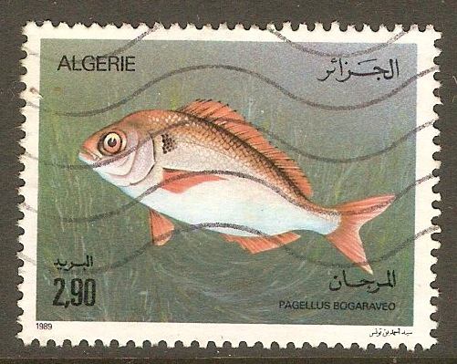 Algeria 1989 2d.90 Fishes series. SG1023.