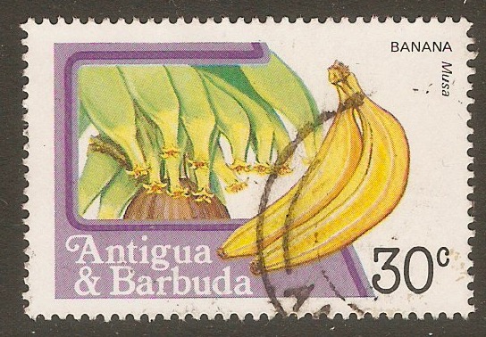 Antigua 1983 30c Fruit series - Bananas. SG801.