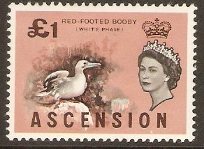Ascension 1963 1 Birds Series. SG83.