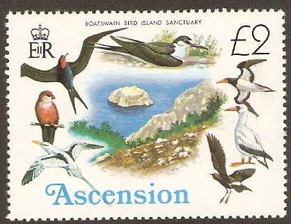 Ascension 1976 2 Birds Series. SG214