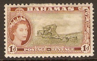 Bahamas 1954 1d Olive-green and brown. SG202.