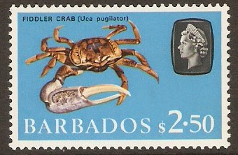 Barbados 1965 $2.50 Marine Life Series. SG335.