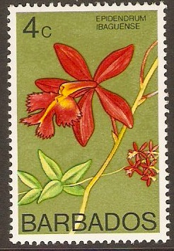 Barbados 1974 4c Orchids Series. SG488.