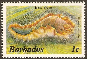 Barbados 1985 1c Marine Life Series. SG794B.