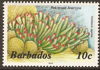 Barbados 1985 10c Marine Life Series. SG797B.