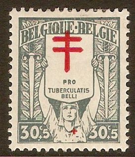 Belgium 1925 30c +5c Scarlet and grey-Anti-TB series. SG424.