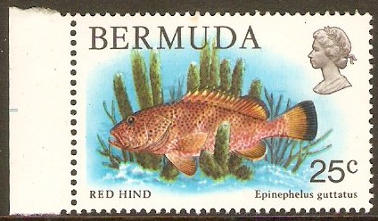 Bermuda 1978 25c Wildlife Series. SG396.