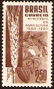 Brazil 1960 Agriculture Stamp. SG1035.