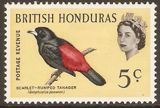 British Honduras 5c 1962 Bird series . SG206.