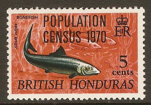 British Honduras 1970 5c Population Census series. SG283