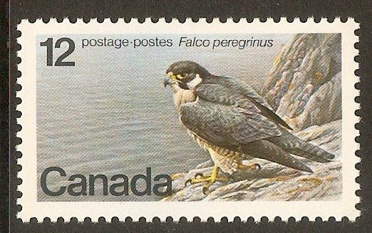 Canada 1978 12c Endangered Wildlife - 2nd. Series. SG906.
