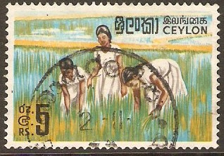 Ceylon 1964 5r Rice Planting Stamp. SG499.