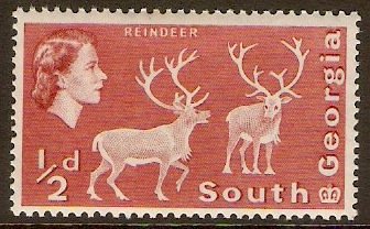 South Georgia 1963 d Brown-red. SG1a.