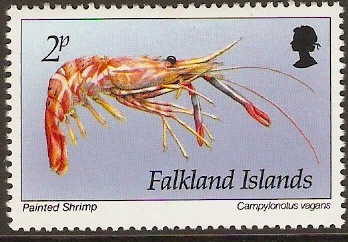 Falkland Islands 1994 2p Marine Life Series. SG702.
