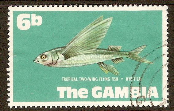Gambia 1971 6b Fishes series. SG273.