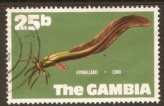 Gambia 1971 25b Fishes series. SG277.