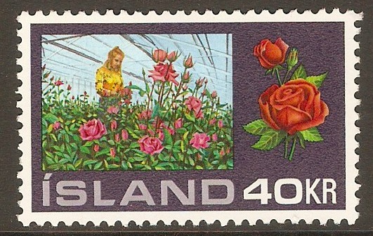 Iceland 1972 40k Hot-house Plants series. SG498.